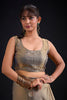 Golden Grey Tissue Silk Saree with Subtle Zari Butti Work