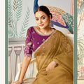 Designer Olive Green Net Saree Border Purple Blouse