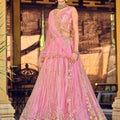 Charming Baby Pink Embroidered Net Lehenga Choli with Dupatta for Wedding