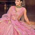 Charming Baby Pink Embroidered Net Lehenga Choli with Dupatta for Wedding