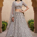 Elegant Stone Grey Embroidered Net Lehenga Choli with Dupatta for Wedding