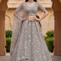 Elegant Stone Grey Embroidered Net Lehenga Choli with Dupatta for Wedding