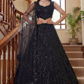 Gorgeous Black Embroidered Net Lehenga Choli Set with Net Dupatta