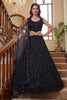 Gorgeous Black Embroidered Net Lehenga Choli Set with Net Dupatta