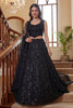 Gorgeous Black Embroidered Net Lehenga Choli Set with Net Dupatta