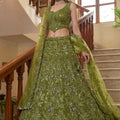 Best Olive Green Embroidered Net Lehenga Choli Set with Net Dupatta