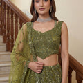 Best Olive Green Embroidered Net Lehenga Choli Set with Net Dupatta