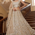 Luxury Beige Embroidered Net Lehenga Choli with Dupatta