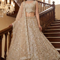 Luxury Beige Embroidered Net Lehenga Choli with Dupatta
