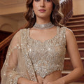 Luxury Beige Embroidered Net Lehenga Choli with Dupatta