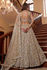 Luxury Beige Embroidered Net Lehenga Choli with Dupatta