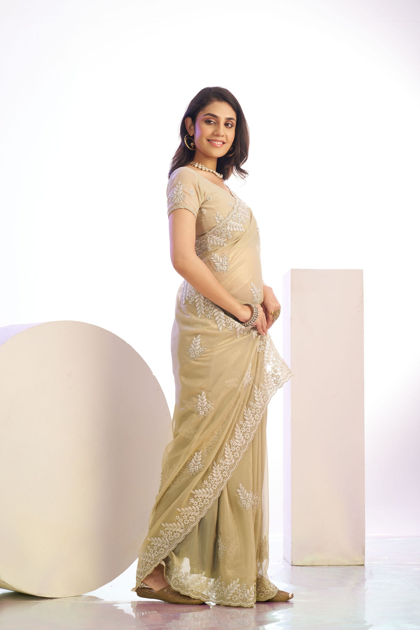 Beige Gold Embroidered Net Saree with Heavy Silver Border