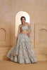 Elegant Grey Butterfly Net Embroidered Lehenga Choli with Dupatta for Women