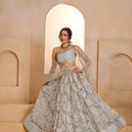 Elegant Grey Butterfly Net Embroidered Lehenga Choli with Dupatta for Women