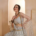 Elegant Grey Butterfly Net Embroidered Lehenga Choli with Dupatta for Women