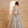 Elegant Grey Butterfly Net Embroidered Lehenga Choli with Dupatta for Women