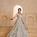 Elegant Grey Butterfly Net Embroidered Lehenga Choli with Dupatta for Women