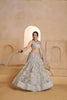 Elegant Grey Butterfly Net Embroidered Lehenga Choli with Dupatta for Women