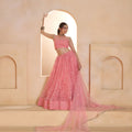 Stunning Pink Butterfly Net Embroidered Lehenga Choli with Dupatta for Women