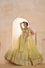 Stylish Yellow Butterfly Net Embroidered Lehenga Choli with Dupatta for Women