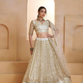 Trendy Off White Butterfly Net Embroidered Lehenga Choli with Dupatta for Wedding