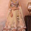 Trendy Beige and Brown Semi-Stitched Net Embroidered Lehenga Choli with Dupatta