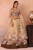 Trendy Beige and Brown Semi-Stitched Net Embroidered Lehenga Choli with Dupatta