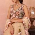 Trendy Beige and Brown Semi-Stitched Net Embroidered Lehenga Choli with Dupatta