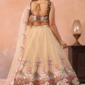 Trendy Beige and Brown Semi-Stitched Net Embroidered Lehenga Choli with Dupatta