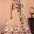 Trendy Beige and Brown Semi-Stitched Net Embroidered Lehenga Choli with Dupatta