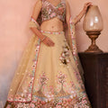 Fancy Beige and Brown Semi-Stitched Net Embroidered Lehenga Choli with Dupatta