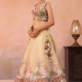 Fancy Beige and Brown Semi-Stitched Net Embroidered Lehenga Choli with Dupatta