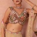 Fancy Beige and Brown Semi-Stitched Net Embroidered Lehenga Choli with Dupatta