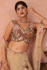 Fancy Beige and Brown Semi-Stitched Net Embroidered Lehenga Choli with Dupatta