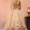 Fancy Beige and Brown Semi-Stitched Net Embroidered Lehenga Choli with Dupatta