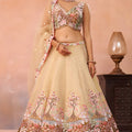 Fancy Beige and Brown Semi-Stitched Net Embroidered Lehenga Choli with Dupatta