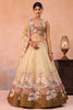 Fancy Beige and Brown Semi-Stitched Net Embroidered Lehenga Choli with Dupatta