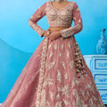 Lovable Dusty Pink Tissue Embroidered Lehenga Choli with Dupatta