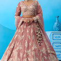Lovable Dusty Pink Tissue Embroidered Lehenga Choli with Dupatta