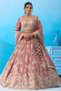 Lovable Dusty Pink Tissue Embroidered Lehenga Choli with Dupatta