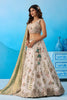 Amazing Off-White Tissue Floral Embroidered Lehenga Choli with Olive Green Dupatta for Women