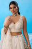 Fancy Off-White Tissue Floral Embroidered Lehenga Choli with Dupatta for Women