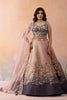 Traditional Peach Net Embroidered Wedding Lehenga Choli with Dupatta for Women
