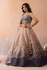 Traditional Peach Net Embroidered Wedding Lehenga Choli with Dupatta for Women