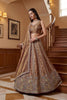 Stylish Brown Fendy Organza Silk Embroidered Wedding Wear Lehenga Choli with Dupatta