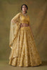 Fancy Golden Net Embroidered Bridal Lehenga Choli with Soft Net Dupatta