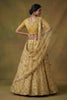 Fancy Golden Net Embroidered Bridal Lehenga Choli with Soft Net Dupatta