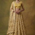 Fancy Golden Net Embroidered Bridal Lehenga Choli with Soft Net Dupatta