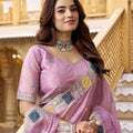 Pink Organza Saree Multicolor Embroidered Border Designer Party Wear