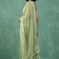 Pista Green Organza Saree White Floral Embroidered Border Designer Blouse